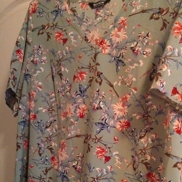 BloomChic Tops - BloomChic Floral V-Neck Blouse in Blue and Pink